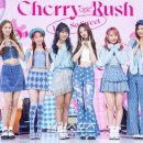 체리블렛 카카오 검색결과