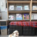 해뜨는 동물병원 해질녘책방 이미지