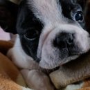 달인부동산공인중개사사무소 이미지