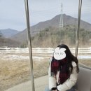 세븐일레븐 화전양지마을점 | 26년 1월의 가평 ②