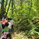 퇴계연꽃어린이집 이미지