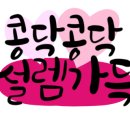 서산소나무힐링 이미지