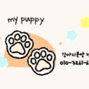 마이퍼피 경남거제점 이미지