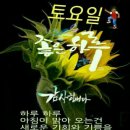 원예 테라리움 이미지