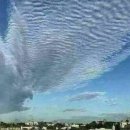 문화공연단(밴드) 이미지