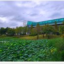 안산 화랑유원지 이미지