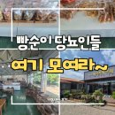 포항시북구72 | 포항 빵집｜당뇨환자도 안심하는 10년 단골 예고 코스, 윤재호 베이커리 단팥빵 솔직후기