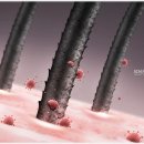 어드반SMP 이미지