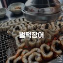 벌떡 장어 이미지