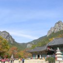 (주)대전사 이미지