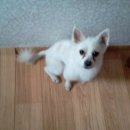 도계주유소 이미지