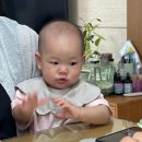 만수도소매 | 병점 동탄 정육점 추천: 11개월 아기 이유식용 고기 '우둔살' 다짐육 찐 후기