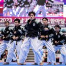 태권아리랑 이미지