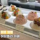 허밍베리 | 합정 허밍벨라 베이커리 홍대 야외 정원이 예쁘고 넓은 데이트 감성 카페 추천