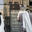 엘슈슈 | [하남 미사 베이비스튜디오] 유럽 빈티지 감성 가득! '소엘스튜디오' 200일 촬영 대만족 후기