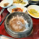 도니친구미나리 이미지