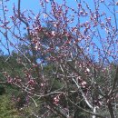 버들골농장 이미지