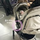 베이스 | 뉴나 카시트 베이스만 구입 후기(정품 인증 필수)