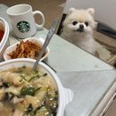송파 찐 맛집, 프라자손칼국수 내돈내산 후기 / 여러번 다녀온 후기, 메뉴 추천 / 프라자손칼국수 주차