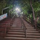 대구 침산동 야경 명소: 왕복 40분 밤산책하기 좋은 '침산공원'