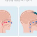 예플러스이비인후과의원 이미지