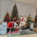 파티타임 | 겨울바다는 사랑입니다 세인트 존스에서 연말파티 타임