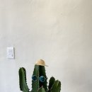 아이니안경원 이미지