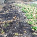 삼안농장 이미지