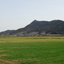 이조3리 Daum카페
