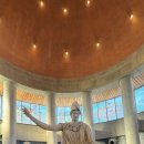 올리브2 이미지