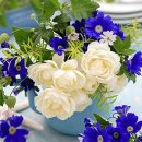 북동중학교 이미지