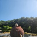 사명대사공원 연회실+접견실 | 김천 사명대사공원/ 김천시립박물관