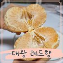 태현농장 네이버블로그