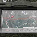 우암산등산로2 이미지