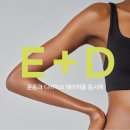 플레이 돔 이미지