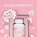 다를뷰티