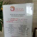 스파피닉스 이미지