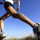 피터웍스 이미지