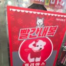 중앙비와이씨
