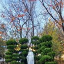 즐거운 삶 행복한 웰다잉 | '서창동 성당'의 웰다잉 강의 ' 아름다운 삶의 마무리' 후기