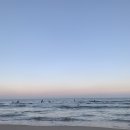 이가네 축산 이미지