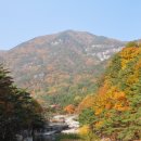 삼화사 Daum카페