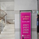 송화초등학교 | 바쁜 일상 속 나를 위한 쉼, 신방화역 ‘당신의요가’에서 찾았어요✨