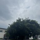 오렌지골프존 | 골프존 송도(구,오렌지듄스) 라운딩 후기