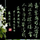 이화전집