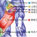 마블핏 퍼스널트레이닝 스튜디오 이미지