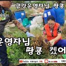 금강땅콩 이미지
