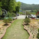 남연허브 이미지