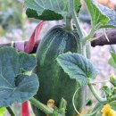 오늘의 명언 7월 13일 : 세상 - 아리스토텔레스 이미지