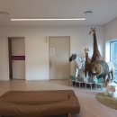 아이맘심소아청소년과의원 | 삼성미즈 소아청소년과 진료 일정 및 예방접종 후기